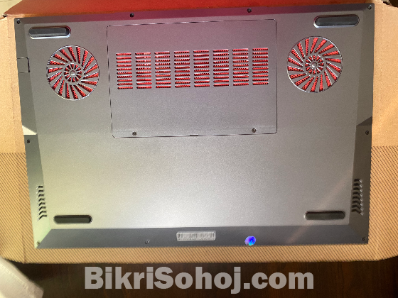 OEM Laptop